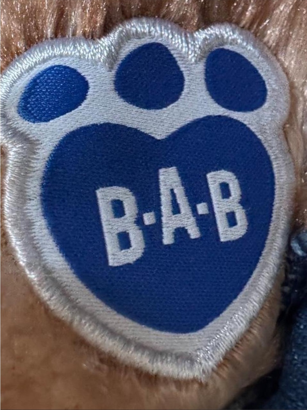 Build-A-Bear Peter Rabbit Plush - Picture 5 of 6